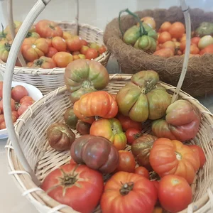 ZeeZ Garden