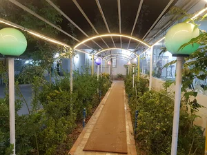 باغسرای خاطره