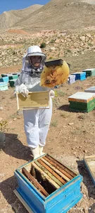 خانه عسل طبیعی حقیقی