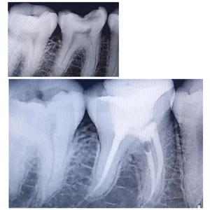 مطب دندانپزشکی قادری 2