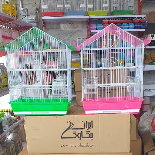 مرکز پخش دان پرندگان زینتی آشیانه پرنده