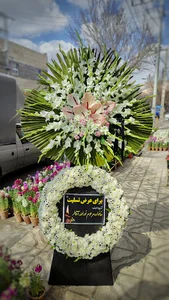 گلسرای دلبر