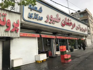 هایپر پروتئین درخشان طیور 5