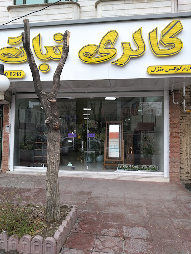 Nabaat Gallery