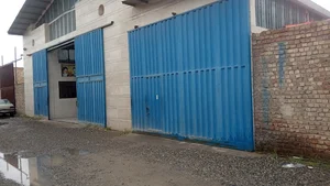 پخش مواد پروتئینی زینلیان (زیتون)