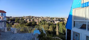 هتل بام طرقبه