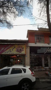 فروشگاه پروتئینی اطلس