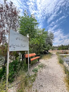 پارکنیگ قطعه هنرمندان