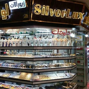 بدلیجات لوکس نقره ای
