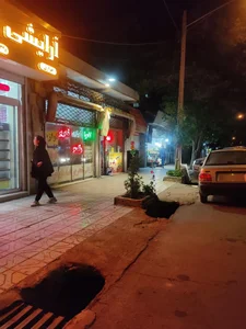 خرازی غزال 4