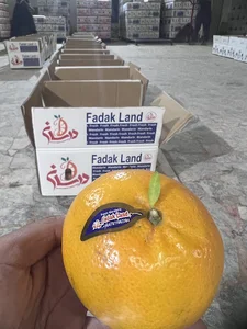 درسان تجارت شهر راز