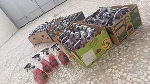 اسپری براق کننده لاستیک خودرو