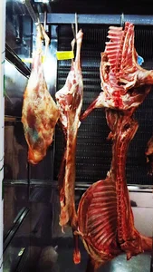مرکز گوشت مادر