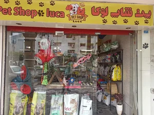 پت شاپ خانه حیوانات رشت| petshop 3