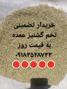 فروش گشنیز