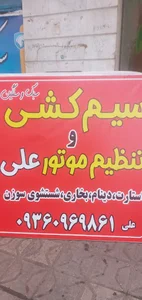برق خودرو علی