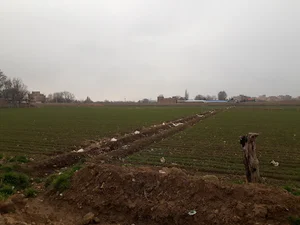 سازمان حمل و نقل همگانی مشکین دشت