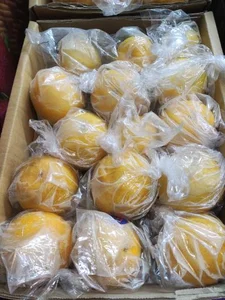 سوپر میوه 3