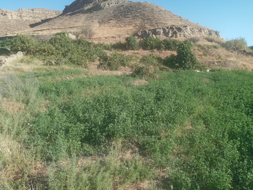 دفتر پیشخوان خدمات دولت صباغی