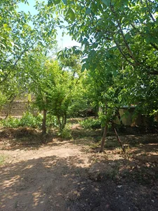 باغ حمیدرضا آبپریان