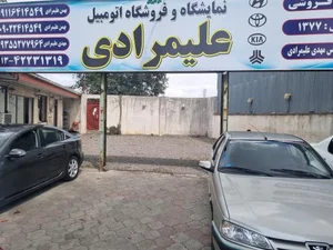 نمایشگاه اتومبیل علیمرادی 2
