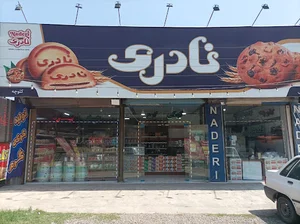 سوغات سرای پرنسا تولید کوکی چهار مغز و فروش کلوچه کارخانه جات لاهیجان ، فروش و ارسال مرغوبترین چای لاهیجان به کل کشور