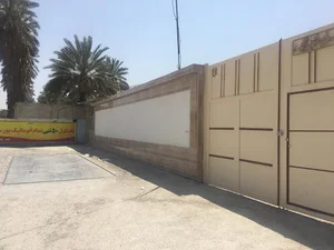 بازرگانی محمد احمدی