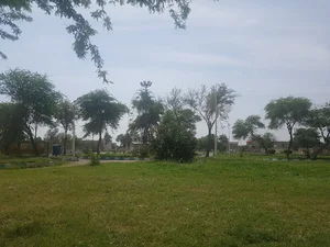 پارک ساحلی