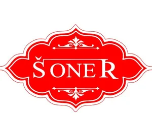 شرکت سونر