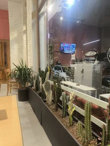 کافه هاویر