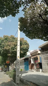 کافه کاخ