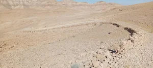 الطريق التركي