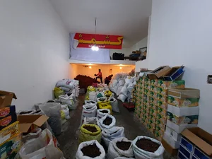 کشمش ملکان شعبه مرکزی