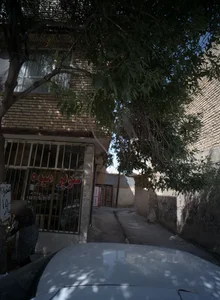 سوپر میوه 2