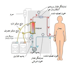 رادیولوژی دکتر حسین نیا