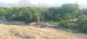 رودخانه آرین چال