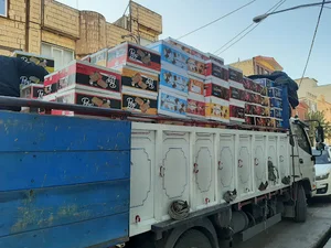 استان قم توحید