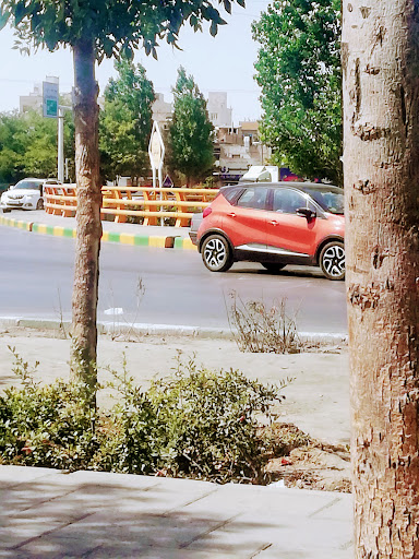 ایست کار سید رضی