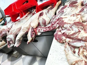 فست فود سنترال 2