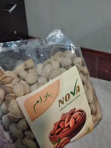 فروشگاه شیزلایف