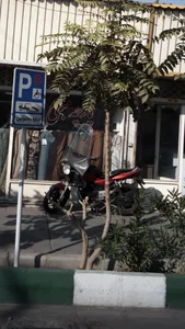 پارچه مبلی پرشین