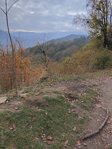یال گرگان نما.gorgan nama
