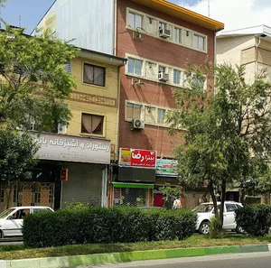 پیتزا رضا