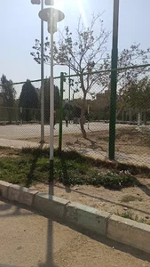 زمین والیبال