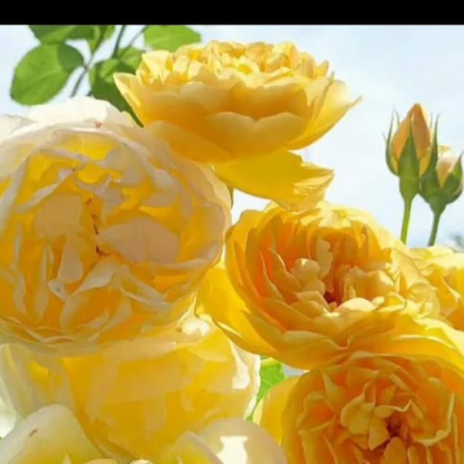 سالن زیبایی