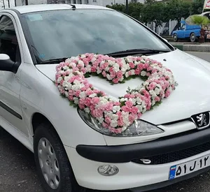 گل و گیاه آرالیا