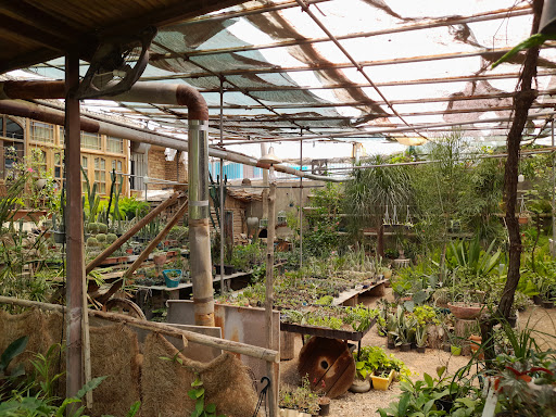 گلخانه صحرای سبز