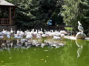 بوستان سعدی
