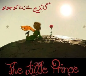 مزون شازده کوچولو