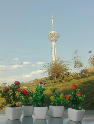 فروشگاه گل قاسمی